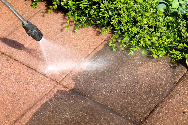 Best Pressure Washing Company Near Me  in Landing, NJ